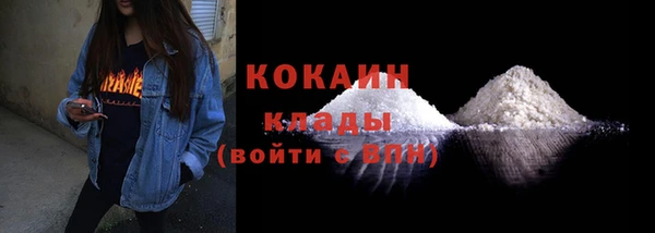 ешки Арсеньев